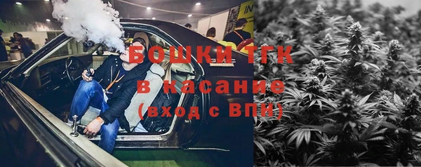 трава Заволжск