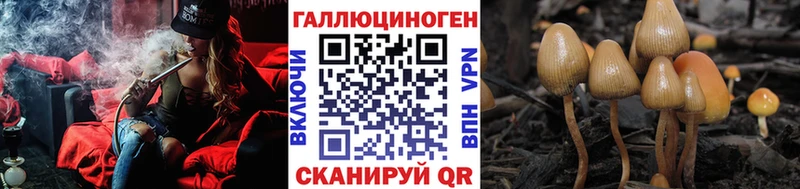 Псилоцибиновые грибы мухоморы  Купить где  Нижнеудинск 