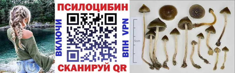 Псилоцибиновые грибы мухоморы Нижнеудинск